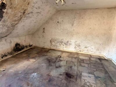 Entruempelung-Duisburg-Beek (6)